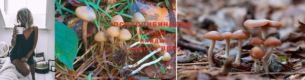 наркотики Абаза