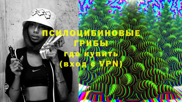 шишки Алзамай